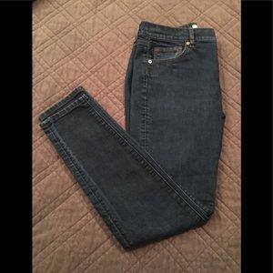 Ann Taylor Loft Modern Skinny Jean